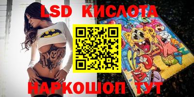 шишки Новодвинск