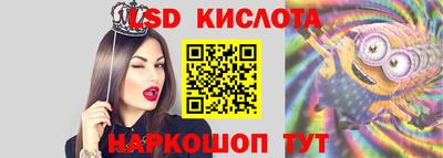 шишки Новодвинск