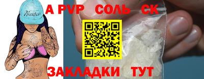 шишки Новодвинск