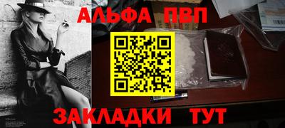 шишки Новодвинск