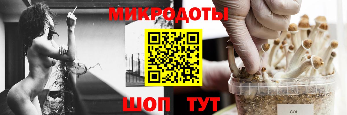 Тверь  Галлюциногенные грибы GOLDEN TEACHER  Вход с VPN  Псилоцибиновые грибы GOLDEN TEACHER 